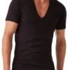 2xist 3-Pack Essential Slim Fit V-Neck T-Shirt 020341 -Wacoal Shop 020341 BLACK b0fc3b2d e21f 4783 b5a2 f3816ec291bb