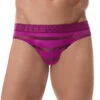 Gregg Homme Encore Brief 160603 1 Gregg Homme Encore Brief 160603 -Wacoal Shop 160603 MAGENTA far front 1