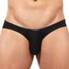 Gregg Homme Yoga Brief 190403