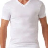 2xist Men's Pima Cotton V-Neck T-Shirt 041010 2 2xist Men's Pima Cotton V-Neck T-Shirt 041010 -Wacoal Shop 261232