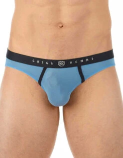 Gregg Homme Torridz Brief 87423 -Wacoal Shop 421054