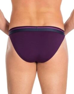 Obviously Men's PrimeMan Bikini Brief A05 -Wacoal Shop A05 1Q 1 Back 3a24e004 00aa 471c a2a0 87e932c42b7d