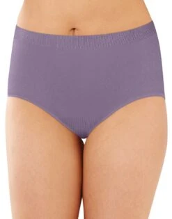 Bali Comfort Revolution Brief DF803J -Wacoal Shop Bali 803J Purple Shade B copy a26b715a cf0f 4604 8a47 78a9a8f4814a
