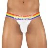 ErgoWear Max XV Pride Jockstrap EW1113 -Wacoal Shop EW1113 1