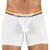 ErgoWear Max XV Pride Trunk EW1117 -Wacoal Shop EW1117 1
