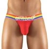 ErgoWear Max XV Pride Thong EW1119 1 ErgoWear Max XV Pride Thong EW1119 -Wacoal Shop EW1119 1