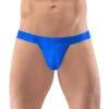 Ergo Wear Max XX Bikini EW1293 -Wacoal Shop ErgoWear EW1293 CobaltBlue 1