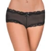 Exposed Mesh 3-Pack Panties G3PK112 -Wacoal Shop Exposed G3PK112 Black B 2