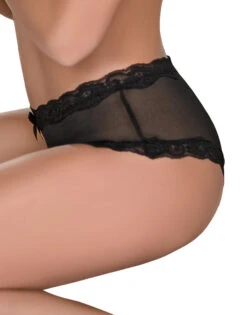 Exposed Mesh 3-Pack Panties G3PK112 -Wacoal Shop Exposed G3PK112 Black B 6