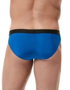 Gregg Homme Torridz Brief 87423 -Wacoal Shop Gregg Homme 87423 Royal Blue B 2 bf2bcbbc 32e9 4b75 ba57 c2eff314f5dc