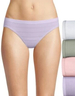 Hanes Ultimate Comfort Flex Fit Bikini 4-Pack 42CFF4 -Wacoal Shop Hanes Women 42CFF4 WhiteSilver Shadow B