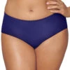 Playtex Incredibly Smooth Cheeky Hipster PSCHHL -Wacoal Shop Playtex PSCHHL Violet Stone B