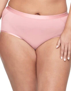Warner's Easy Does It Modal Modern Brief RS9001P -Wacoal Shop WA RS9001P 690BPK 3000x3000 1